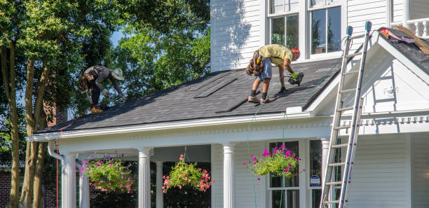 Roof Moss and Algae Removal in Matthews, NC